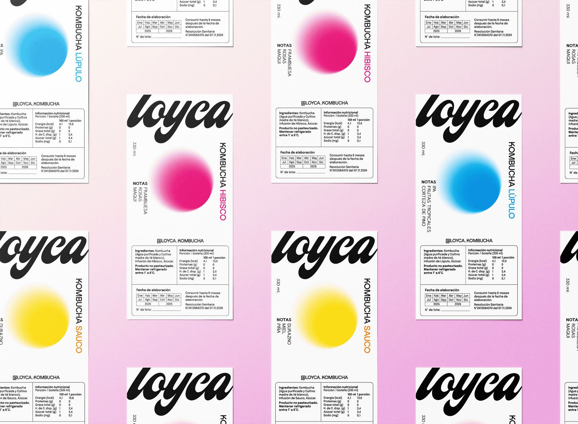 Kombucha Loyca
